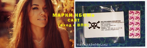 индика Гусиноозёрск