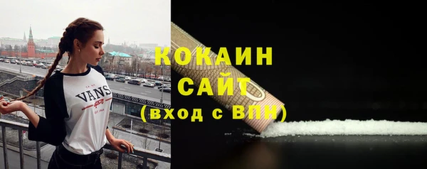 индика Гусиноозёрск