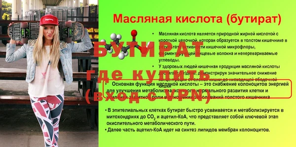 индика Гусиноозёрск