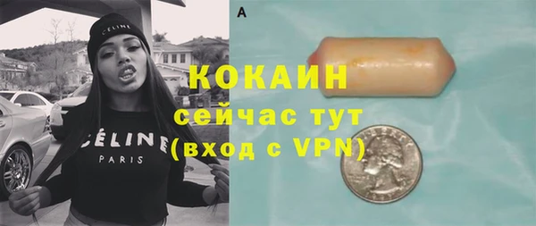 индика Гусиноозёрск