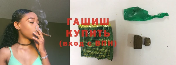 индика Гусиноозёрск
