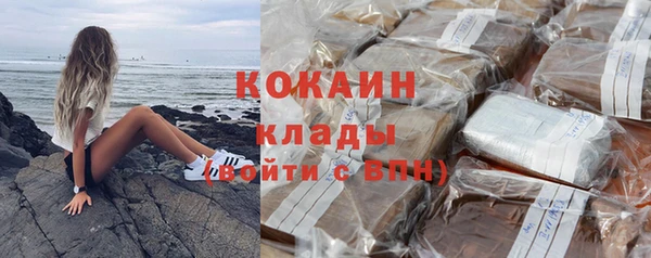 индика Гусиноозёрск