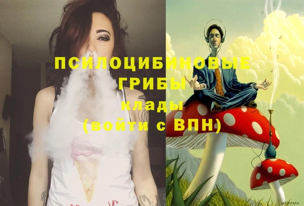 мдпв Гусь-Хрустальный