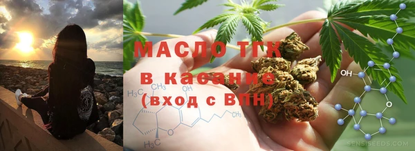 мдпв Гусь-Хрустальный