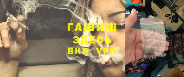индика Гусиноозёрск